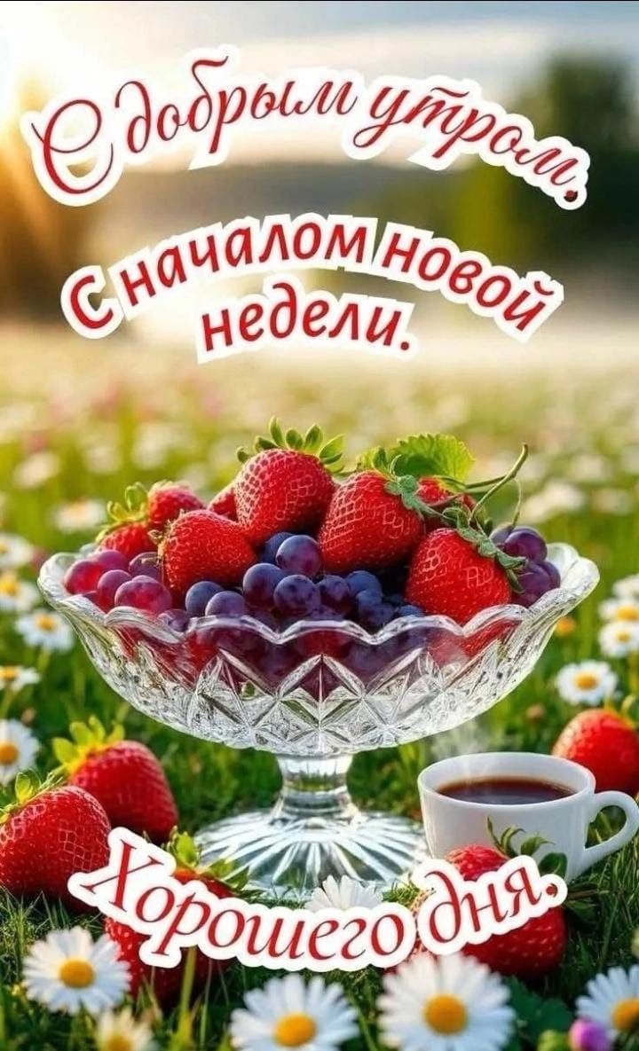 С добрым утром. С началом новой недели. Хорошего дня.