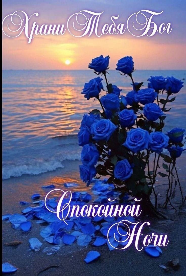 Храни Тебя Бог Спокойной Ночи