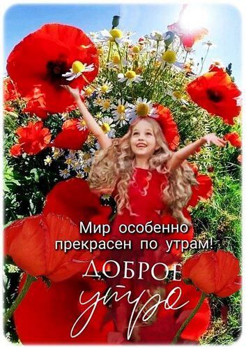 Мир особенно прекрасен по утрам! ДОБРОЕ УТРО