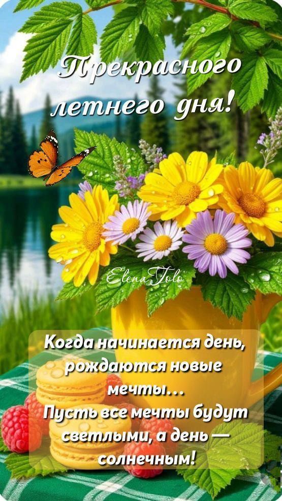 Прекрасного летнего дня!
Когда начинается день, рождаются новые мечты...
Пусть все мечты будут светлыми, а день — солнечным!