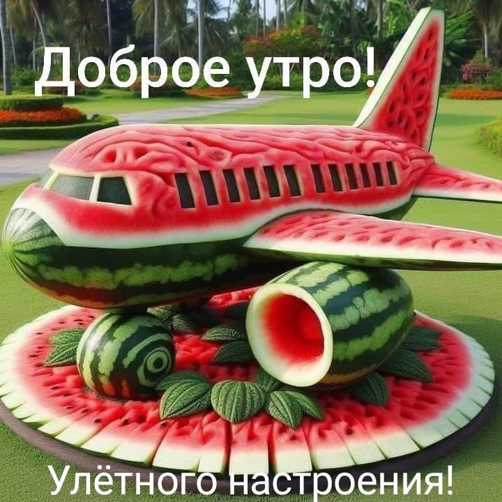 Доброе утро! Улетнего настроения!