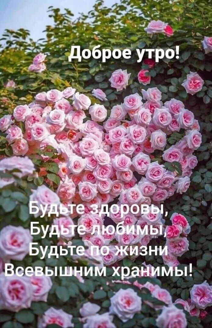 Доброе утро!
Будьте здоровы,
Будьте любимы,
Будьте по жизни Всевышним хранимы!
