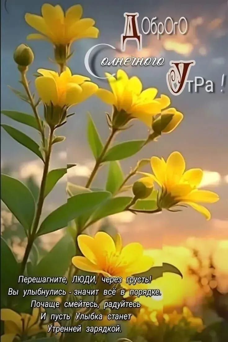 Доброе Солнечного Утра !
Перешагните, ЛЮДИ, через грусть! 
Вы улыбнулись - значит всё в порядке. 
Почаще смейтесь, радуйтесь 
И пусть Улыбка станет Утренней зарядкой.