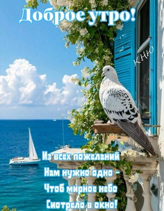 Доброе утро!
Из всех пожеланий
Нам нужно одно - 
Чтоб мирное небо
Сиятело в оконо!