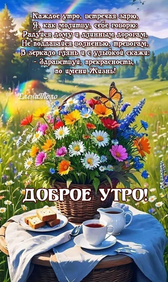Каждое утро, встречая зарю, Я, как модишу, себе говорю: Радуйся дому и жизненным дорогам, Не поддавайся воденью, тревогам, В зеркало глянь и с улыбкой скажи: - Здравствуй, прекрасность, по имени Жизнь! ДОБРОЕ УТРО!