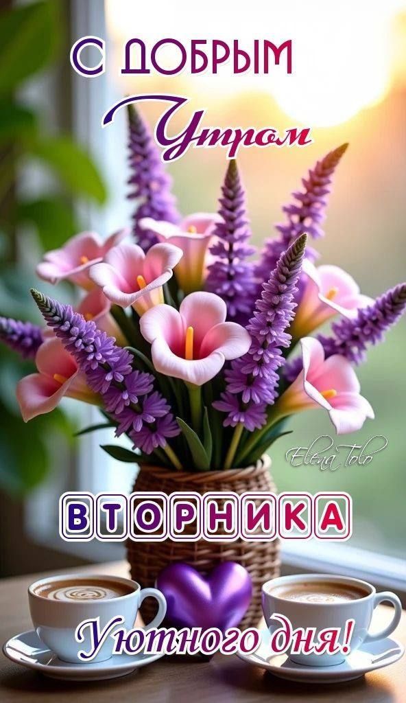 С ДОБРЫМ УТРОМ ВТОРНИКА Уютного дня!