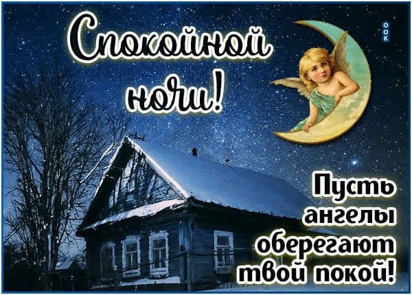Спокойной ночи! Пусть ангелы оберегают твой покой!