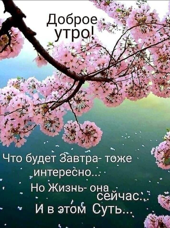 Доброе утро! Что будет Завтра- тоже интересно... Но Жизнь она сейчас... И в этом Суть...