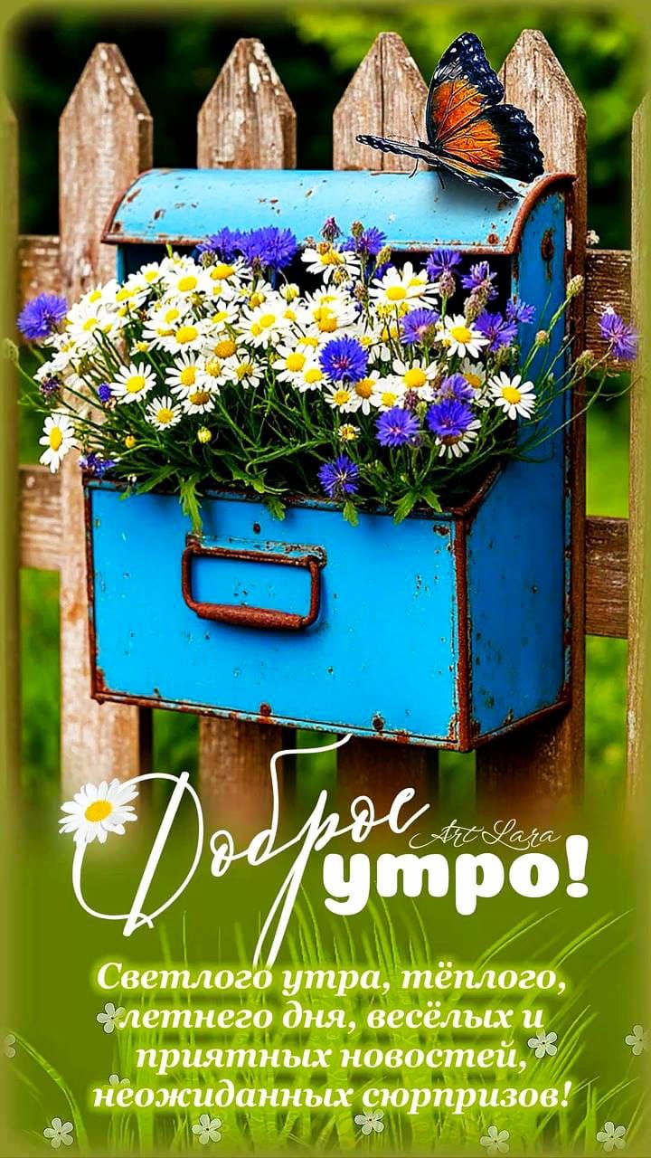 Доброе утро!
Светлого утра, тёплого дня, весёлых и приятных новостей, неожиданных сюрпризов!