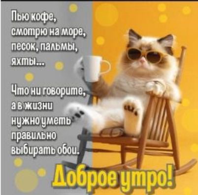 Пью кофе, смотрю на море, песок, пальмы, яхты... Что ни говорите, а в жизни нужно уметь правильно выбирать обои. Доброе утро!