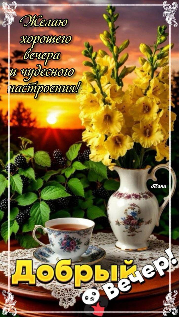 Желаю хорошего вечера и чудесного настроения! Добрый Вечер!