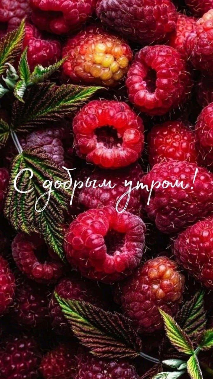 С добрым утром!