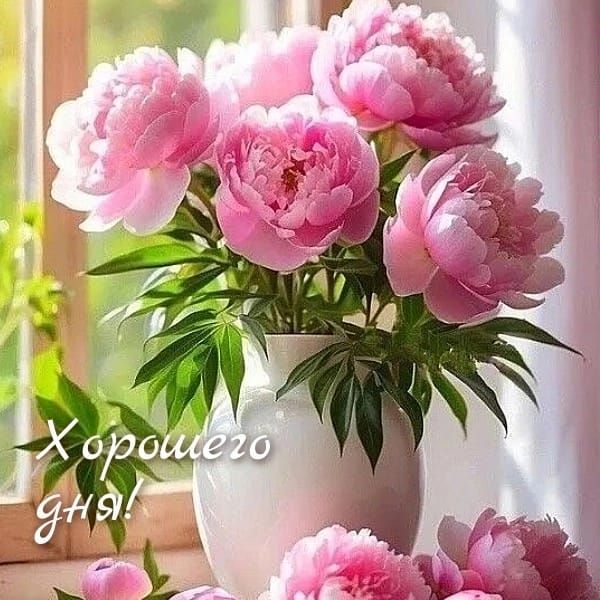 Хорошего дня!