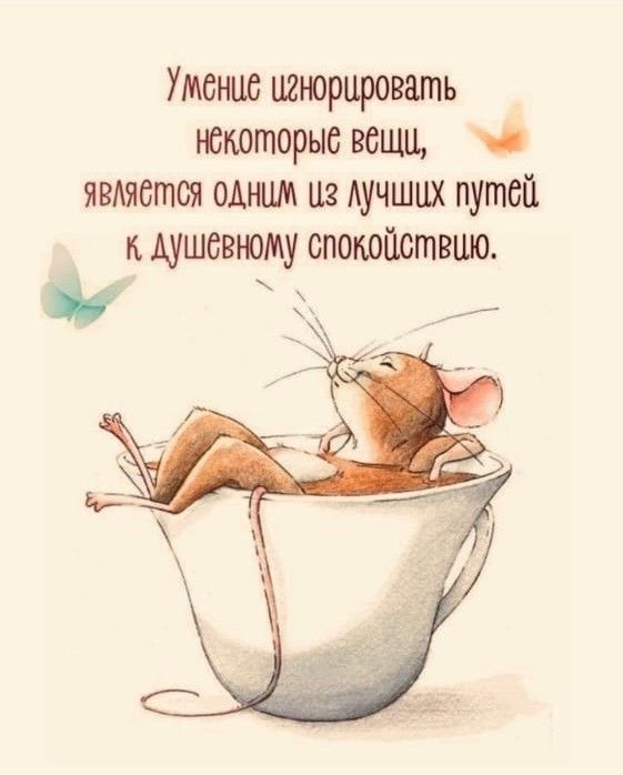 Умение игнорировать некоторые вещи, является одним из лучших путей к душевному спокойствию.