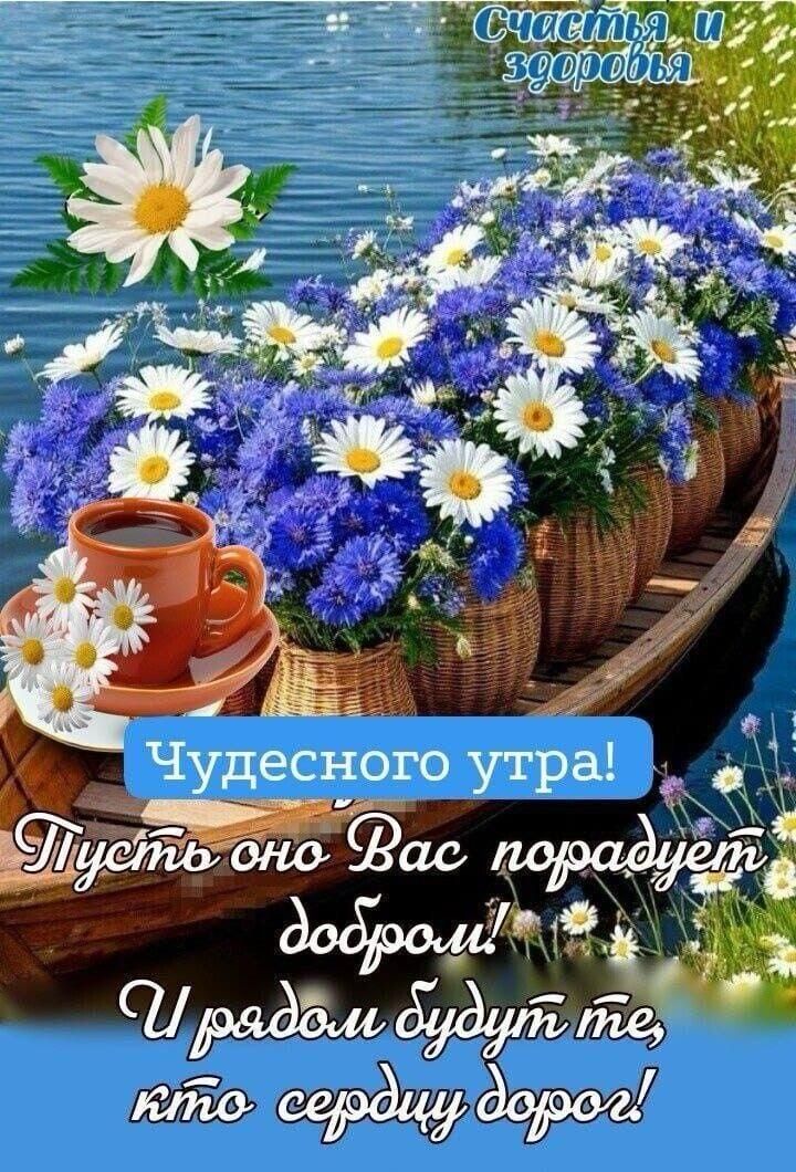 Чудесного утра! Пусть оно Вас порадует добром! И рядом будут те, кто сердцу дорог!