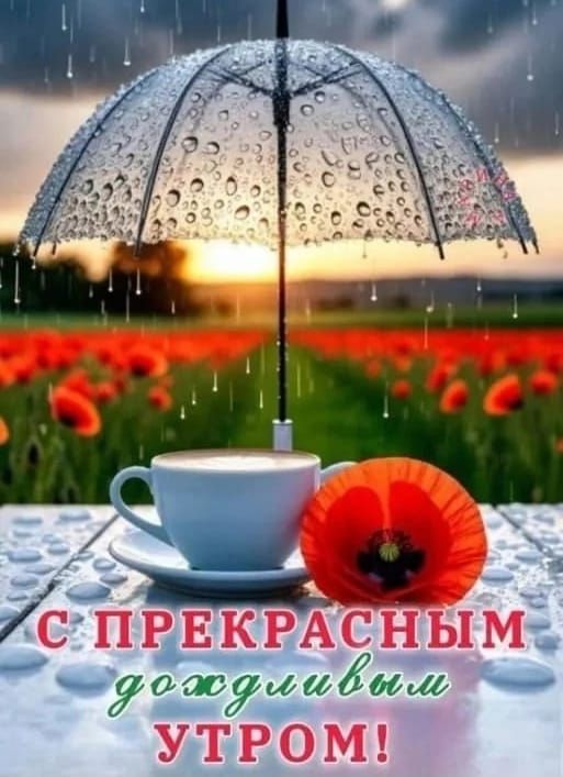 С ПРЕКРАСНЫМ ДОЖДЛИВЫМ УТРОМ!