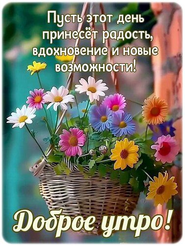 Пусть этот день принесёт радость, вдохновение и новые возможности! Доброе утро!