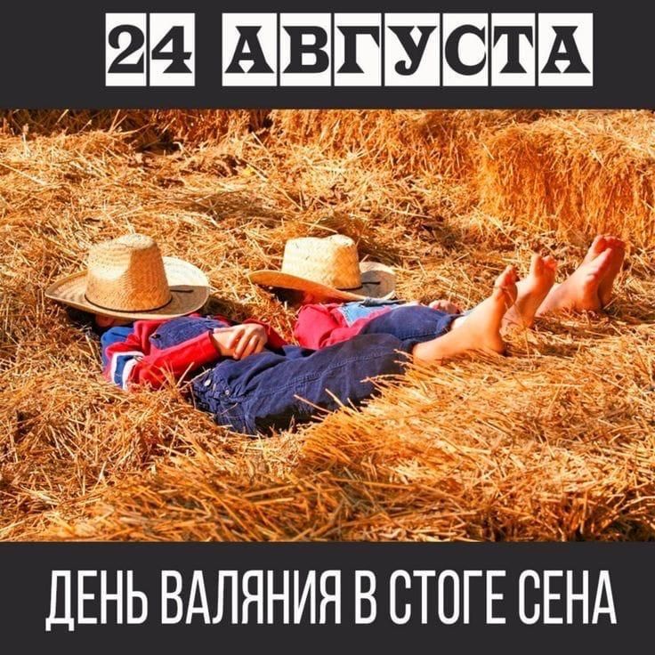 24 АВГУСТА
ДЕНЬ ВАЛЯНИЯ В СТОГЕ СЕНА