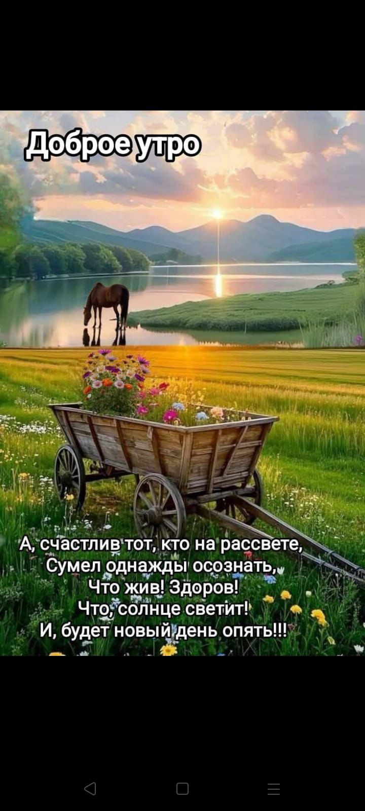Доброе утро
А, счастлив тот, кто на рассвете,
Сумел однажды осознать,
Что жив! Здоров!
Что, солнышко светит!
И, будет новый день опять!!!