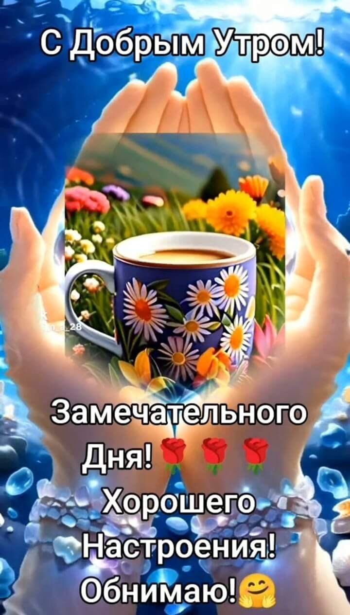 С Добрым Утром! Замечательного Дня! 🌹🌹🌹 Хорошего Настроения! Обнимаю! 😊