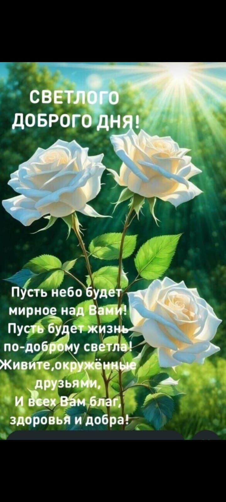 Светлого доброго дня!
Пусть небо будет мирное над Вами! Пусть будет жизнь по-доброму светла! Живите, окруженные друзьями, И всех Вам благ, здоровья и добра!