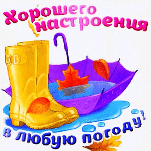 Хорошего настроения в любую погоду!
