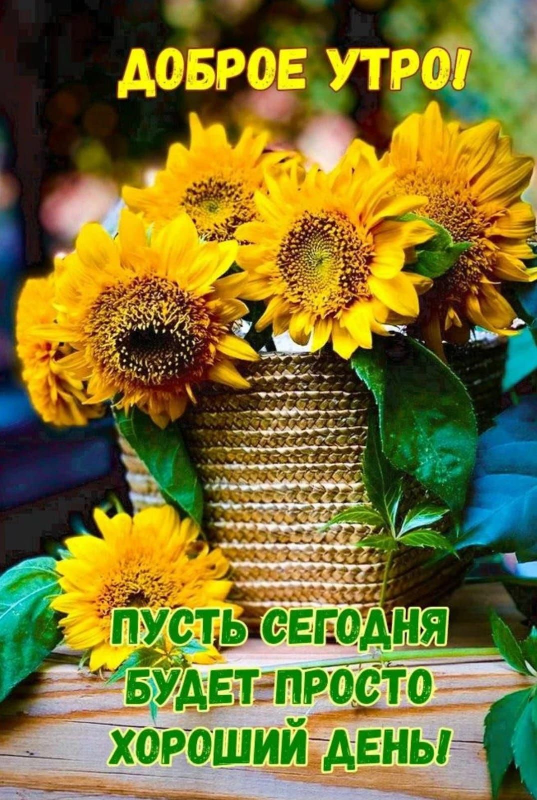 ДОБРОЕ УТРО! ПУСТЬ СЕГОДНЯ БУДЕТ ПРОСТО ХОРОШИЙ ДЕНЬ!