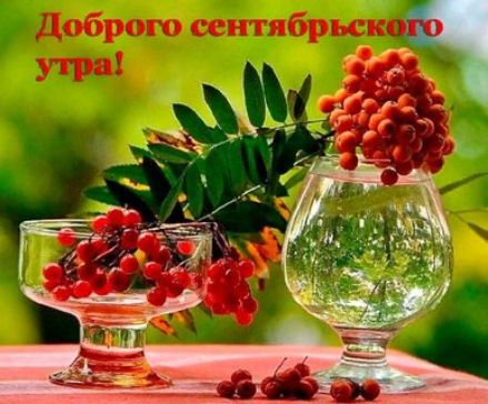 Доброко сентябрясрого утро!