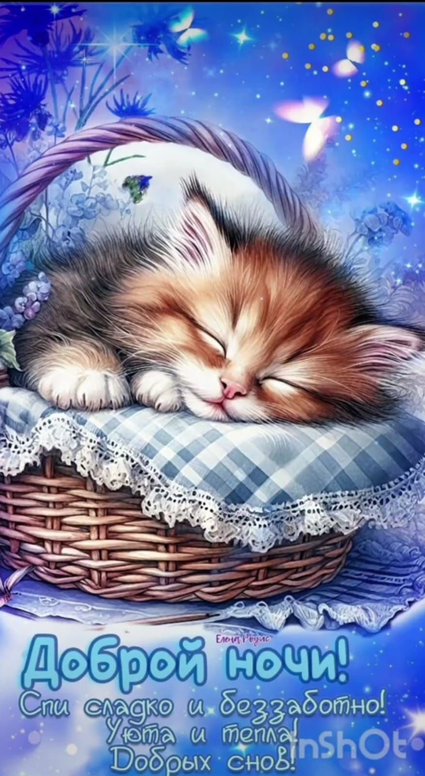 Доброй ночи!
Спи сладко и беззаботно! Уюта и тепла! Добрых снов!