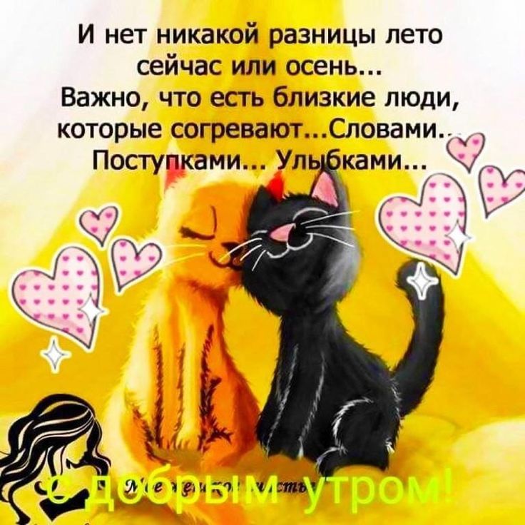 И нет никакой разницы лето сейчас или осень... Важно, что есть близкие люди, которые согревают... Словами... Поступками... Улыбками...
С добрым утром!