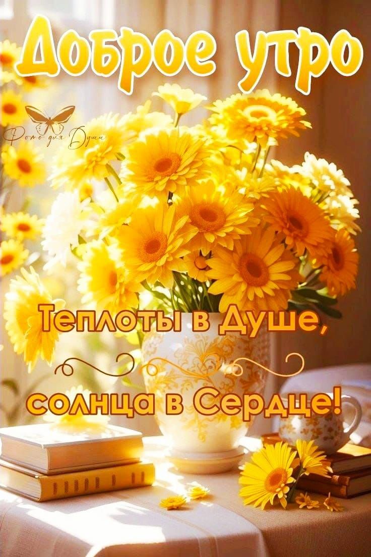 Доброе утро
Теплоты в Душе, солнца в Сердце!