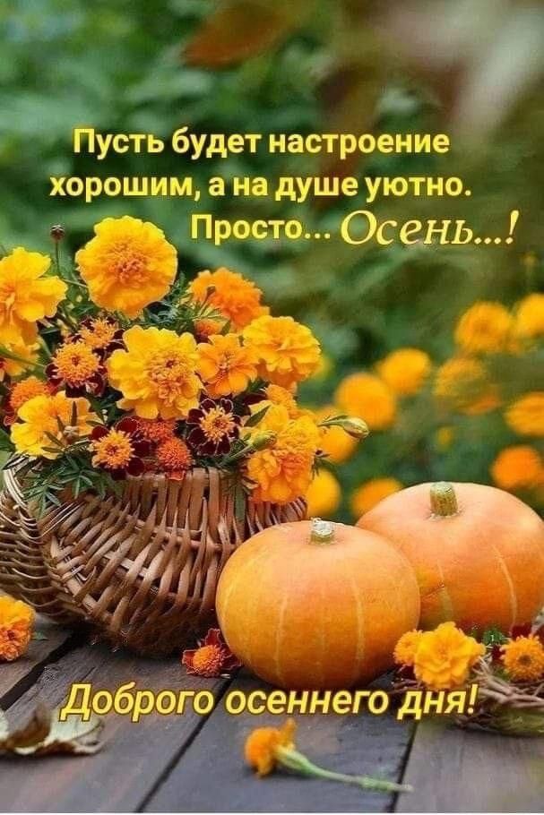 Пусть будет настроение хорошим, а на душе уютно. Просто... Осень!... Добrogo осеннего дня!