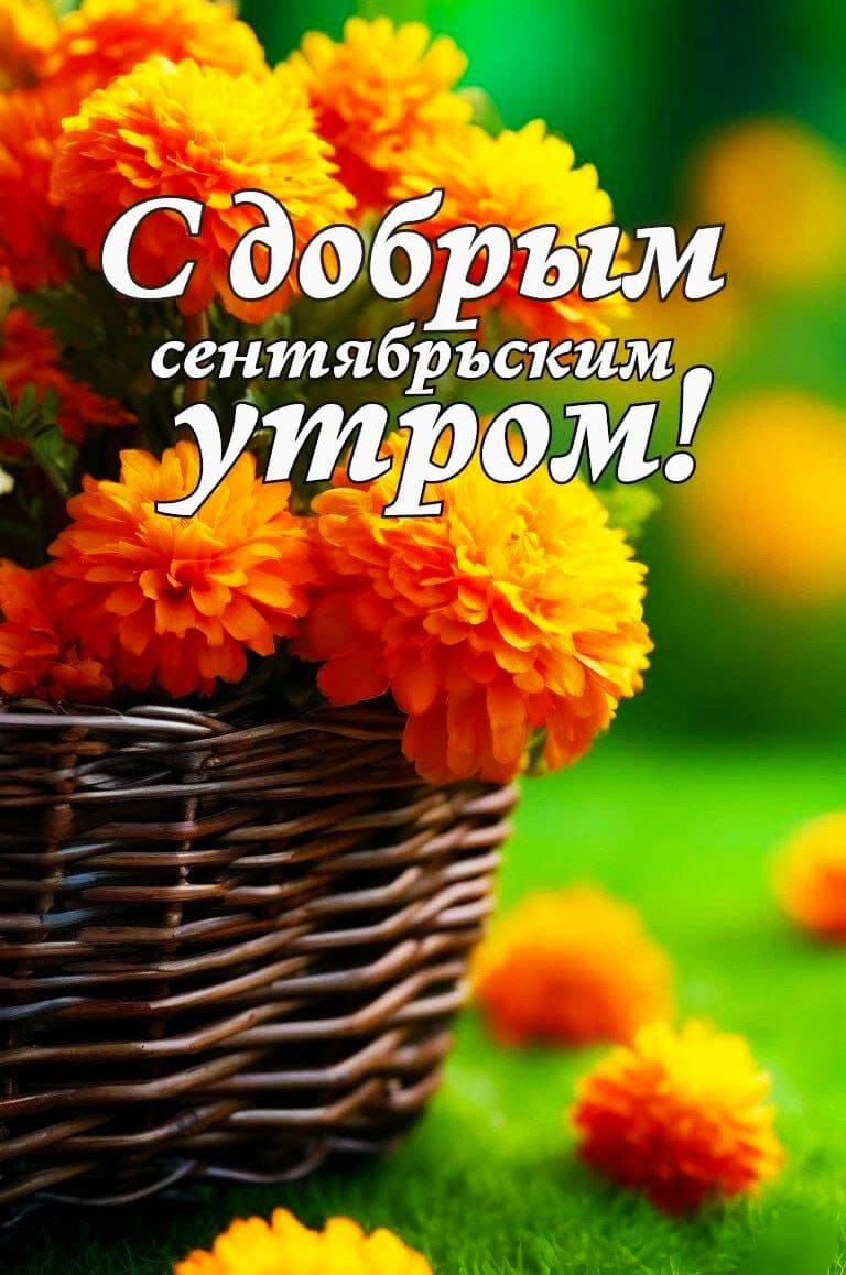 С добрым сентябрьским утром!
