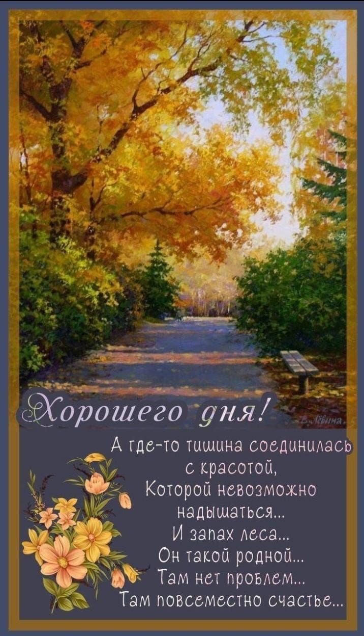 Хорошего дня!
А где-то тишина соединилась с красотой,
Которой невозможно надышаться...
И запах леса...
Он такой родной...
Там нет проблем...
Там повсеместно счастье...