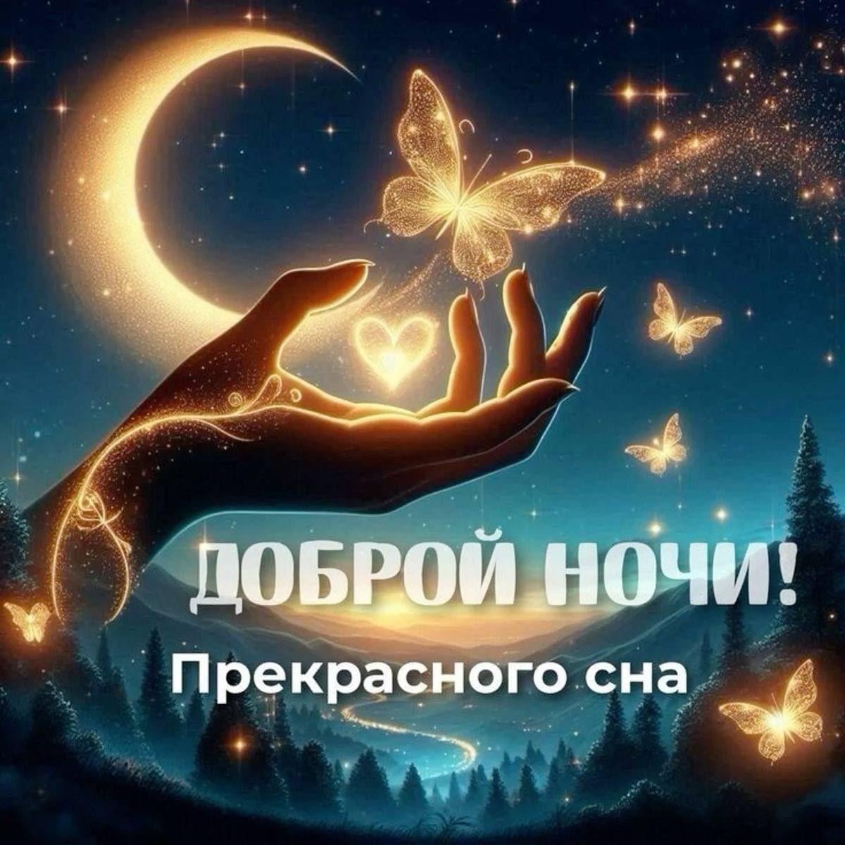 Доброй ночи! Прекрасного сна
