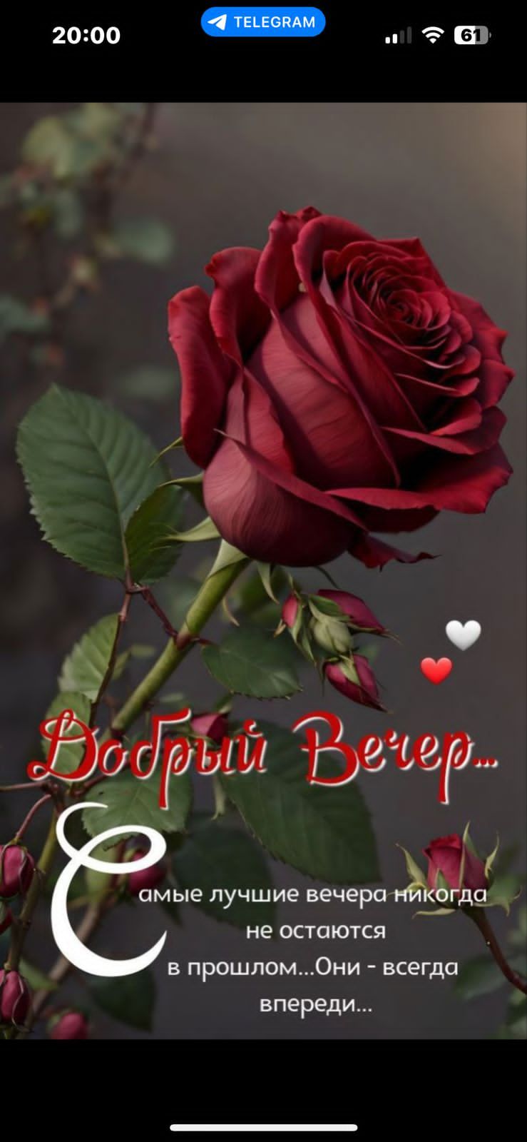 Добрый Вечер...
Самые лучшие вечера никогда не останутся в прошлом...Они - всегда впереди...
