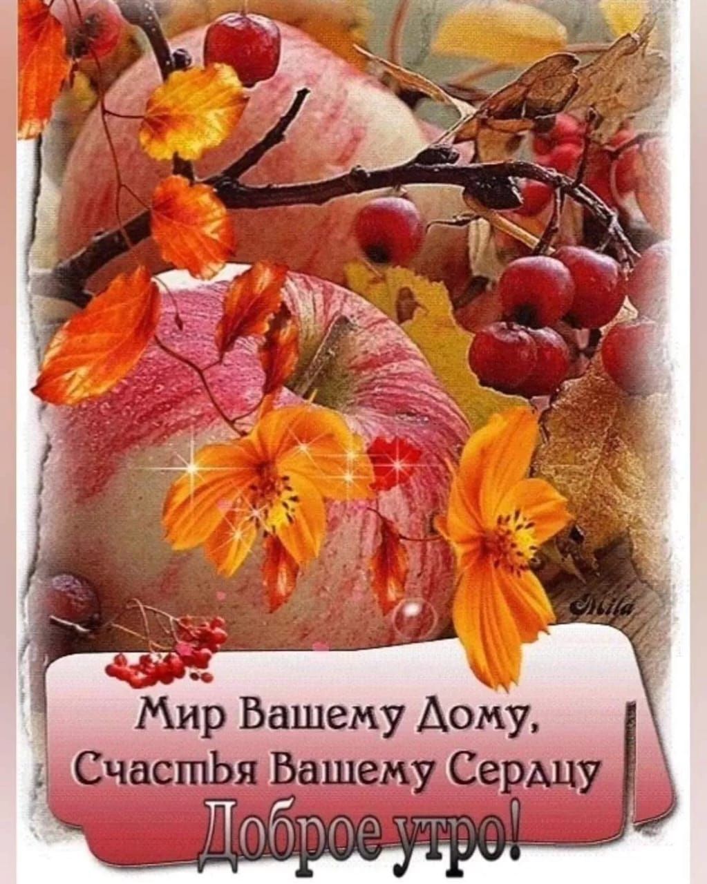 Мир Вашему Дому, Счастья Вашему Сердцу
Доброе утро!