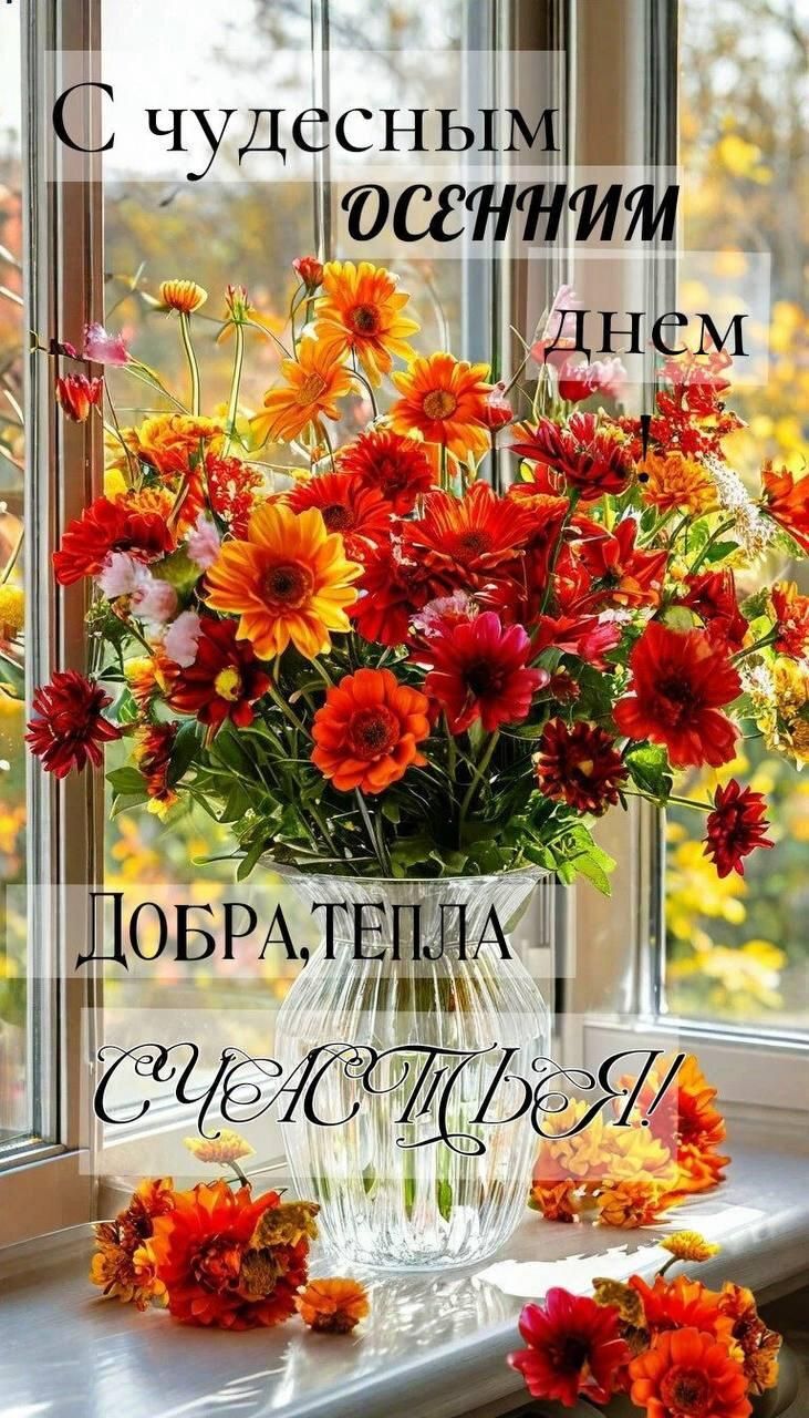 С чудесным ОСЕННИМ днем.
ДОБРА, ТЕПЛА СЧАСТЬЯ!!