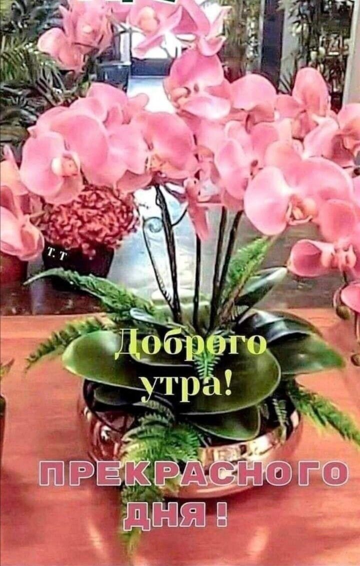 Доброе утро! Прекрасного дня!