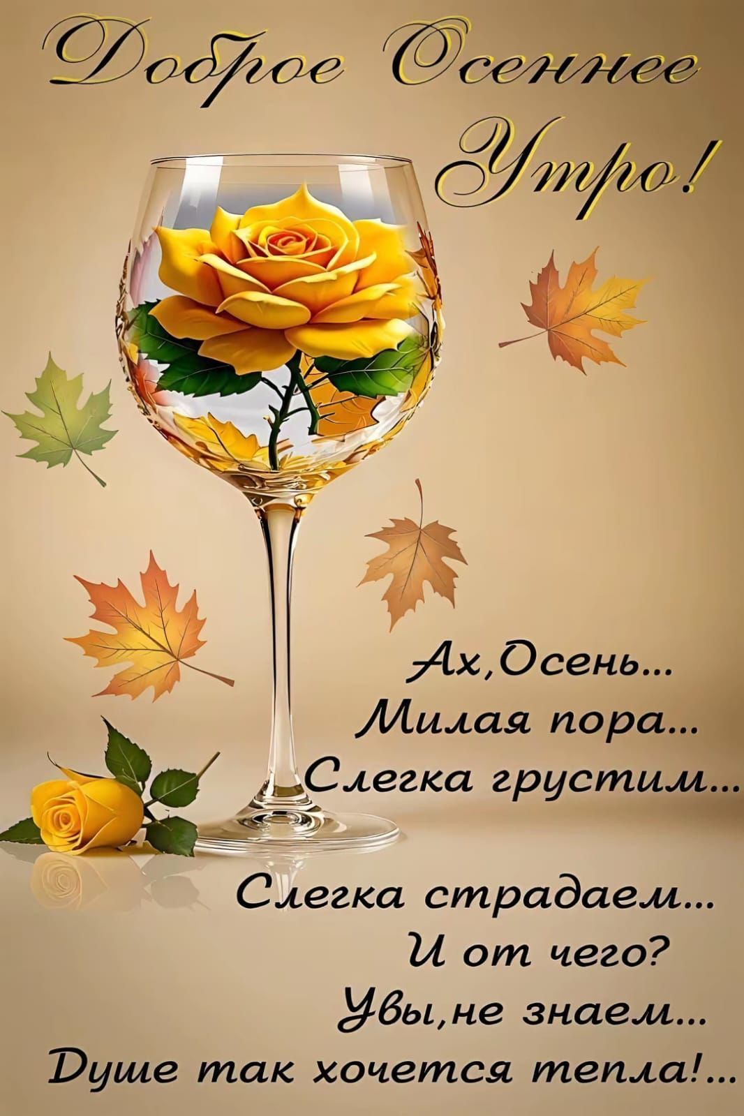 Доброе Осеннее Утро!
Ах, Осень...
Милая пора...
Слегка грустим...
Слегка страдаем...
И от чего?
Увы, не знаем...
Душе так хочется тепла!