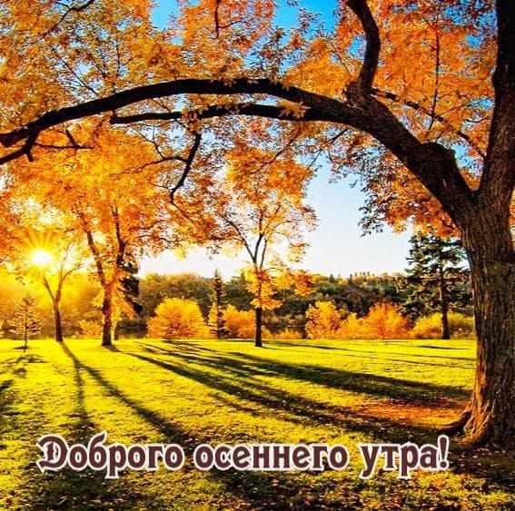 Доброего осеннего утра!