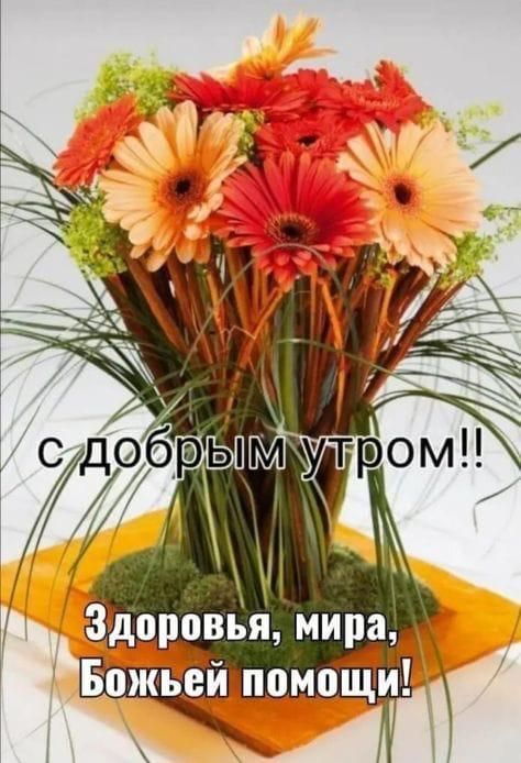 с добрым утром!!
Здоровья, мира, Божьей помощи!