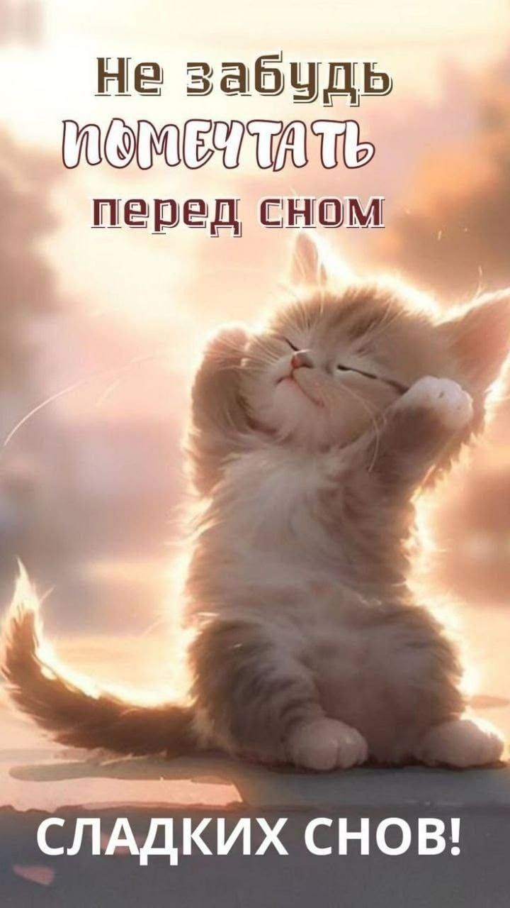 Не забудь помечтать перед сном
СЛАДКИХ СНОВ!