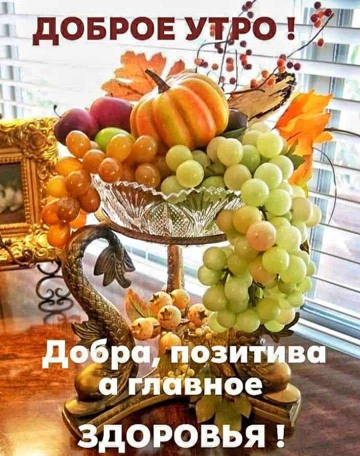 ДОБРОЕ УТРО !
Добра, позитива а главное ЗДОРОВЬЯ !