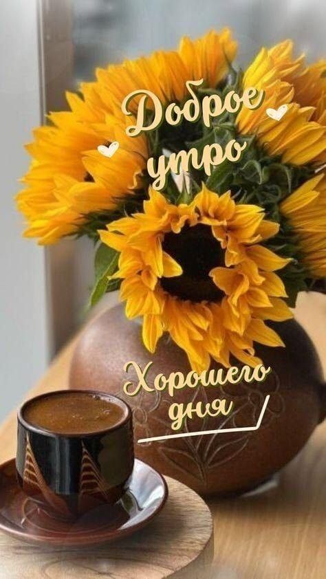 Доброе утро
Хорошего дня