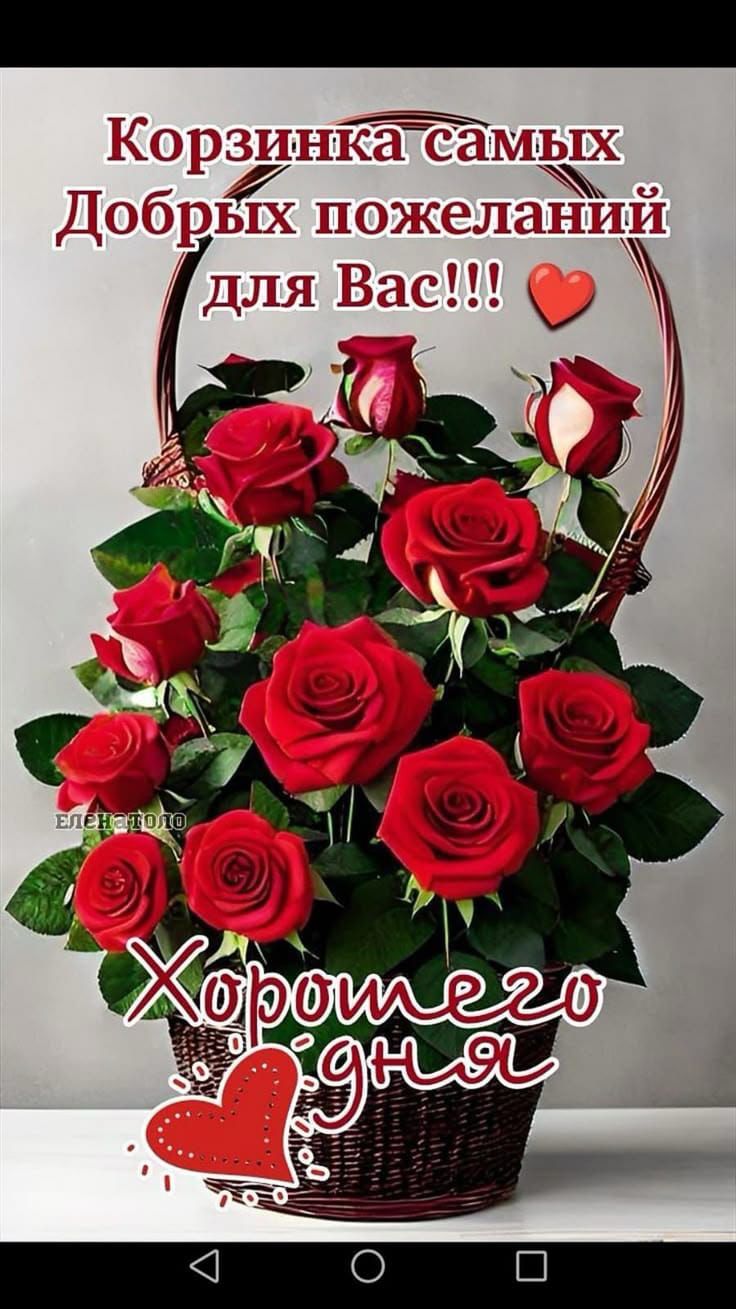 Корзинка самых Добрых пожеланий для Вас!!! ❤️ Хорошего дня