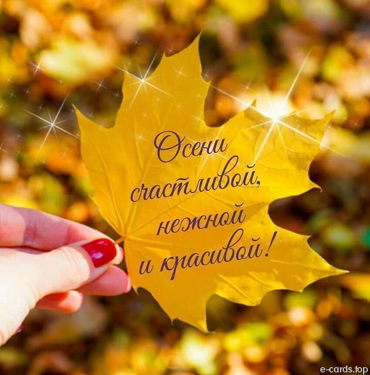 Осени счастливой, нежной и красивой!
