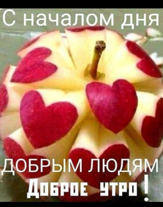 С началом дня ДОБРЫМ ЛЮДЯМ Доброе утро !