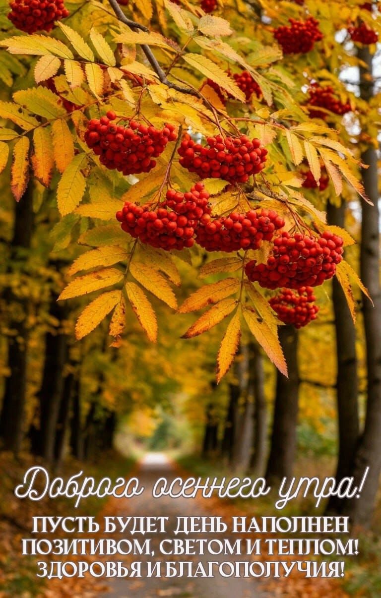 Добroго осеннего утра! ПУСТЬ БУДЕТ ДЕНЬ НАПОЛНЕН ПОЗИТИВОМ, СВЕТОМ И ТЕПЛОМ! ЗДОРОВЬЯ И БЛАГОПОЛУЧИЯ!
