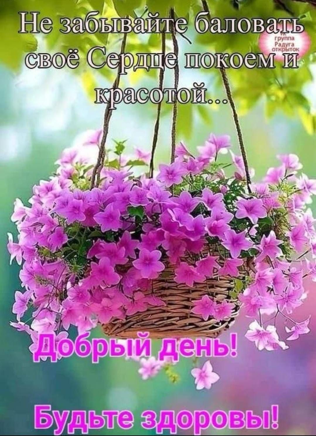 Не забывайте баловать своё Сердце покоем и красотой... Добрый день! Будьте здоровы!